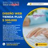 Diseño Web Tienda Plus